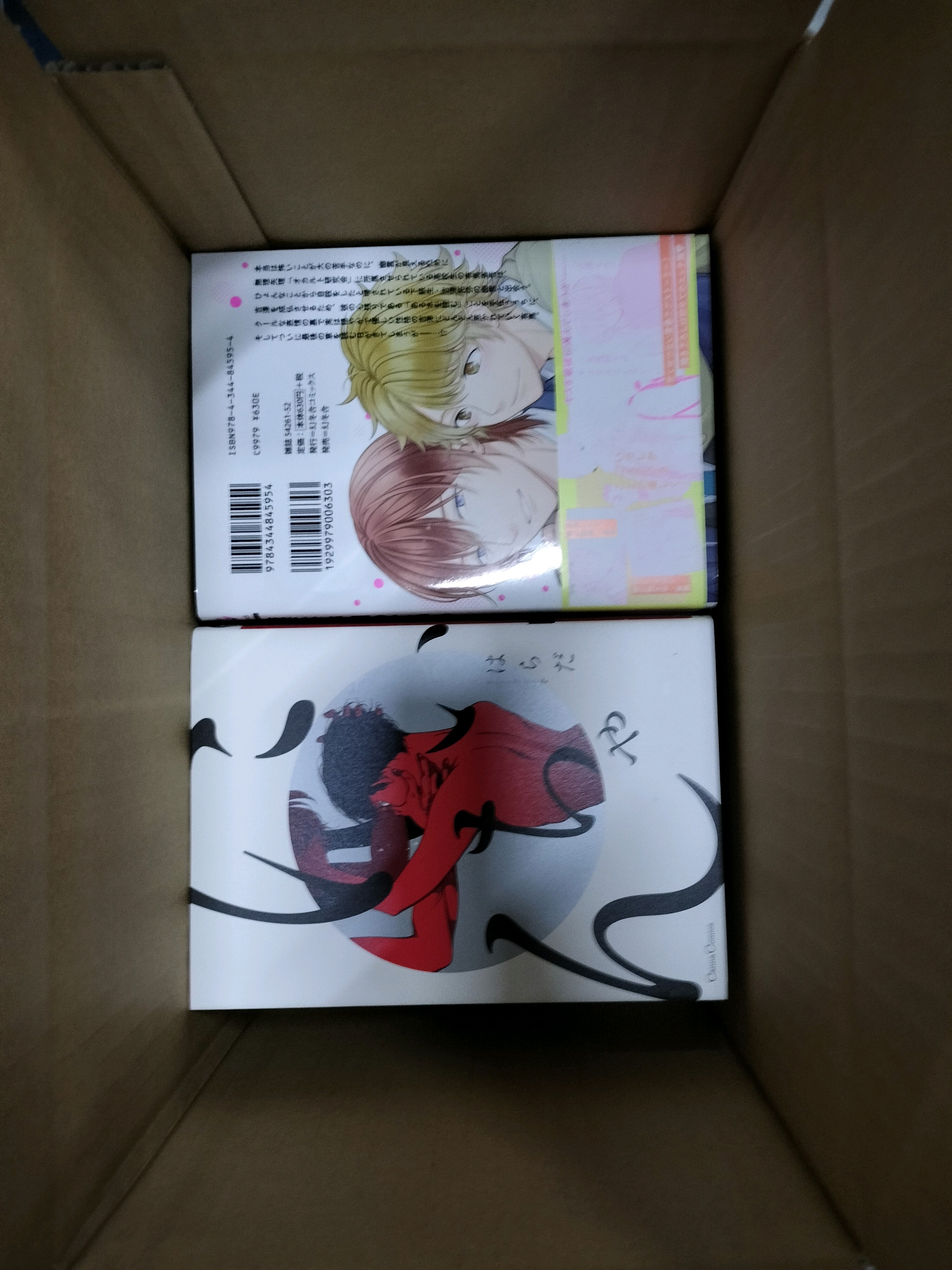本407-002♪【80】 息もできない、恋を 裏切り者のラブソング 恋ドル 他 コミック 漫画 単巻 約30冊 まとめ売り